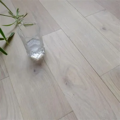 Chêne blanc européen